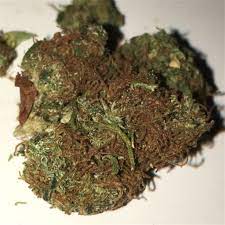 Haze Aka Original Haze Haze Brothers Marijuana Strain Information Leafly