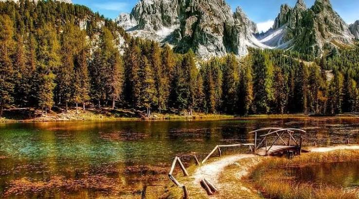 The role of National Parks