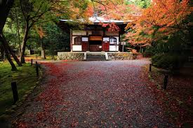 竹の寺 地蔵院 紅葉 見ごろ 本堂 秋 地蔵 京都 紅葉 紅葉 写真