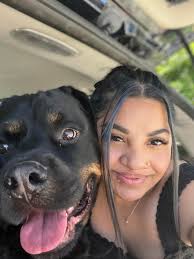 Horse and farm care services available in Petaluma