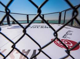 Ufc 251 abu dhabi location. Spectators Will Be Allowed In To See Third Ufc Fight Island In Abu Dhabi Arabianbusiness