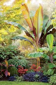 Lessons From Chanticleer Gallery Garden Design In 2020 Tropical Landscape Design Tropical Garden Design Tropical Backyard Landscaping