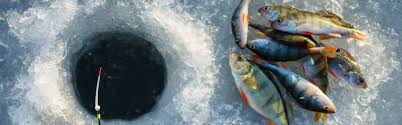 He is the smartest baby minnow in the lake. Ice Fishing In Montana Montana Fwp