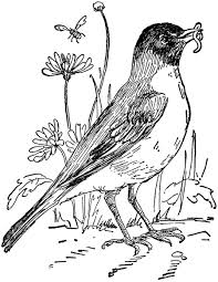 17 Robin Images Garden Coloring Pages Bird Coloring Pages Ocean Coloring Pages