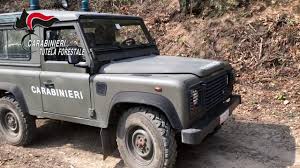 29,331 likes · 42 talking about this. Torino 06 04 2019 Carabinieri Forestali Denuncia Un Piromane Youtube