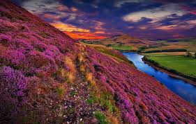 2296645), is a wholly owned subsidiary of the woodland trust. Wallpaper Colorful River Sky Trees Landscape Nature Sunset Flowers Clouds Hills Scotland United Kingdom Pentland Hills Images For Desktop Section Pejzazhi Download