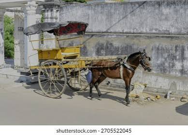 1,106 Horse Cart India Royalty-Free Images, Stock Photos & Pictures | Shutterstock