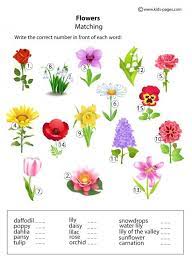 Math Coloring Pages Math Coloring Worksheets 2nd Grade Free Math Coloring Worksheet Printable Mar Househos O Math Coloring Worksheets Math Coloring Free Math