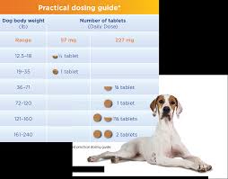 Nexgard contains the active ingredient afoxolaner which is an insecticide. Easy Dosing Smart Design Previcox Project Merial