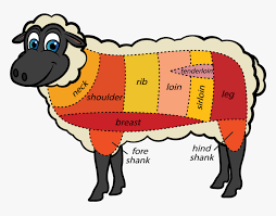 We did not find results for: Cuts Meat Sheep Tips Lamb Parts Of Meat Hd Png Download Kindpng