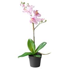 fejka kunstplant orchidee paars ikea topfpflanzen kunstpflanzen zimmerpflanzen