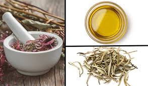 Even teenagers and people in their 20s may black tea can make hair darker, shinier and softer. Coneflower Oil And White Tea For Longer And Stronger Hair Be Beautiful India