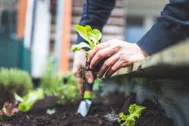 Don't attempt to do all your digging and soil improvement in one go. Home Grown Handy Gardening Hacks Style Magazine