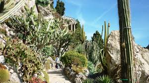 Mehr von exotischer garten (= exoga) auf facebook anzeigen. Monaco S Exotic Garden And The Villa Paloma Museum The French Riviera Blog By Kevin Hin