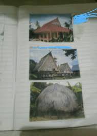 Rumah ini merupakan rumah adat maluku utara dengan desain khas dari penduduk suku sahu. 48 Gambar Rumah Adat Baileo Asal Provinsi Dan Keunikannya Terbaru Gambar Rumah