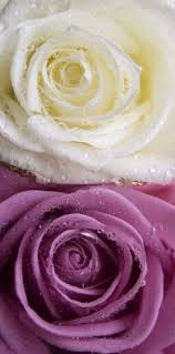 Check spelling or type a new query. How To Preserve Flowers In Epoxy Resin How To Preserve Flowers Resin Diy Diy Resin Crafts