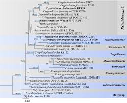 Bagaimana jika anda sebagai importir barang china ingin mendatangkan barang dalam jumlah banyak? Fungal Diversity Notes 929 1035 Taxonomic And Phylogenetic Contributions On Genera And Species Of Fungi Springerlink
