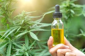 Is one cbd extraction method better than another? Cbd Oil And Cancer What The Research Shows