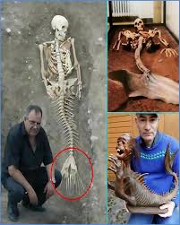 Image result for real mermaid
