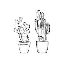 Aesthetic Black And White Cactus Drawing Pin By Damara Herdman On Cactus Cactus Drawing Cactus Doodle Art Letters