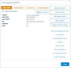 Therapy Charting Notes Emr Software For Mental And