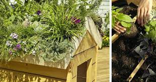 instalar techos vegetales sobre casetas de jardin blog hortum es toit vegetal jardin de ville terrasse jardin
