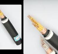 XLPE Insulated PE Sheathed Control Cable | Zable Cable