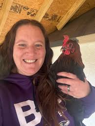 Will beavers hurt my hens?