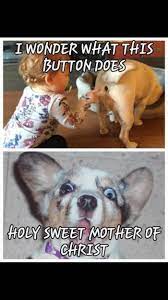 Pin Auf All Types Of Funny Pictures Funny Memes Funny Jokes
