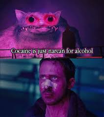 Oh glorious cracked out wall kitten