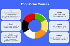 Image result for acholic stools human