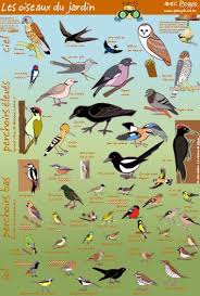 Epingle Sur Fiches Nature