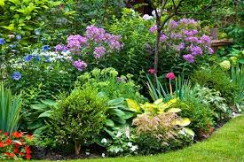 Garden Color Schemes How To Create Gorgeous Garden Color Combinations Gardening From House To Home Colorful Garden Gorgeous Gardens Plants