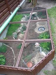 Epingle Sur Tortoise Enclosure