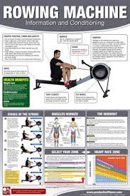 Rowing Machine Professional Gym Fitness Wall Chart Poster Male Edition Productive Fitness Rowing Machine Workout Rowing Workout Rowing Machines