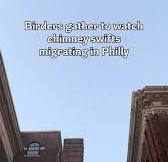 Thousands of chimney swifts are flocking to Hallahan High School, much to  the delight of Philly birders. During their long migration south in the  fall, chimney swifts will descend on a building by the ...