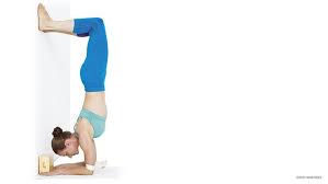 We did not find results for: Challenge Pose 5 Steps To Master Forearm Balance Pincha Mayurasana
