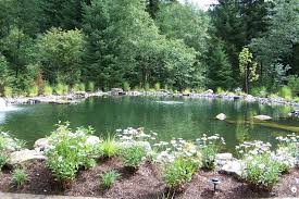 Beautiful backyard ponds and cool water garden ideas. Large Pond Like The Big Rocks Sticking Out Of The Water Garden Pond Design Large Backyard Landscaping Pond Landscaping