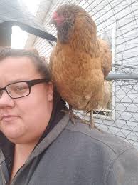 Howdy from College Station Texas USA! Spunky loves the view from her window  when running errands with her mom. She always calls shotgun! When dad  drives I ride in the backseat. Spoiled