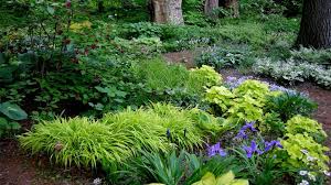 We did not find results for: What To Plant Under A Mature Tree