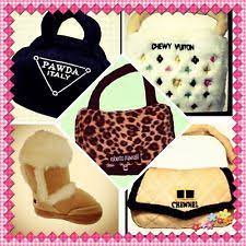 The cutest teddy bear dogs. 100 Brand Name Dog Clothes Ideas Dog Clothes Dogs Dog Accessories