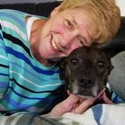 Dorn Family Obituaries