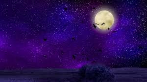 Explore amazing art and photography and share your own visual inspiration! Moon Birds Night Sky Artistic Hd Wallpaper Night Sky Wallpaper Moon 1920x1080 Wallpaper Teahub Io