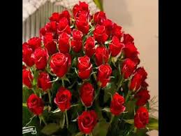Saludos por el día de la madre para mi hermana :: Feliz Dia De La Madre Hermana Buenos Dias