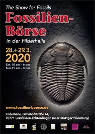 Earn rewards on your next flight to italy and europe with alitalia's millemiglia program. The Fossil Show In Germany Fossilien Boerse Near Stuttgart Airport