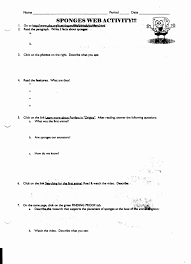 Transcription And Translation Worksheet Key Checks Worksheet Transcription And Translation Dna Transcription And Translation Dna Transcription