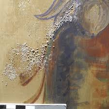 Salzkristallisationen Von Sulfatsalzen Auf Der Malschichtoberflache Nach Feuchteschadigung Undichtes Dach Restaurierung Wandmalerei Malerei