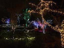 Christmas Lights At Phoenix Zoo 2014 Christmas Lights Holiday Decor Christmas