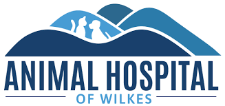 Newsletter signup signup for offers and important news! Animal Hospital In Wilkesboro Animal Hospital Of Wilkes