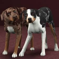 Pin By Weirdo On The Sims 1 4 Sims Pets Sims 4 Pets The Sims 3 Pets